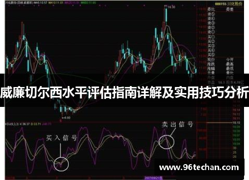 威廉切尔西水平评估指南详解及实用技巧分析